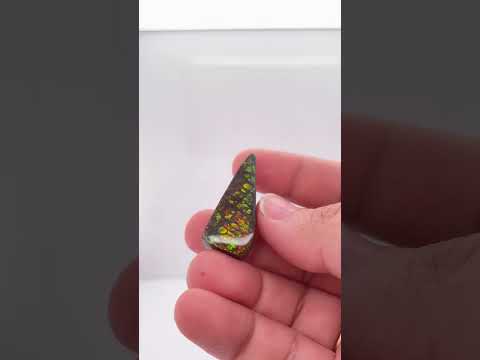 Ammonite Art Piece 13x32mm  Video PN E170-47 