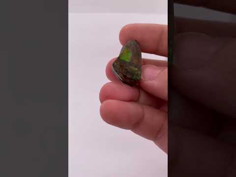 Ammonite Art Piece 25x15mm Video PN E170-74 