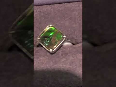 Canadian Ammolite Ring Video 10mm Square with Green and Blue