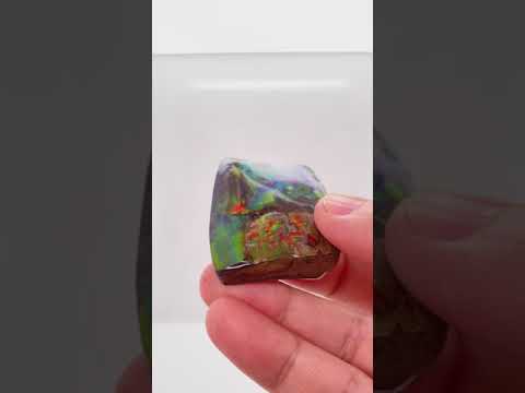 Ammonite Art Piece 35x42mm Video PN E170-54 