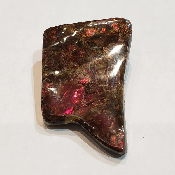 Ammonite Art Piece 36x56mm PN: E170-08 %product from Empire Ammolite